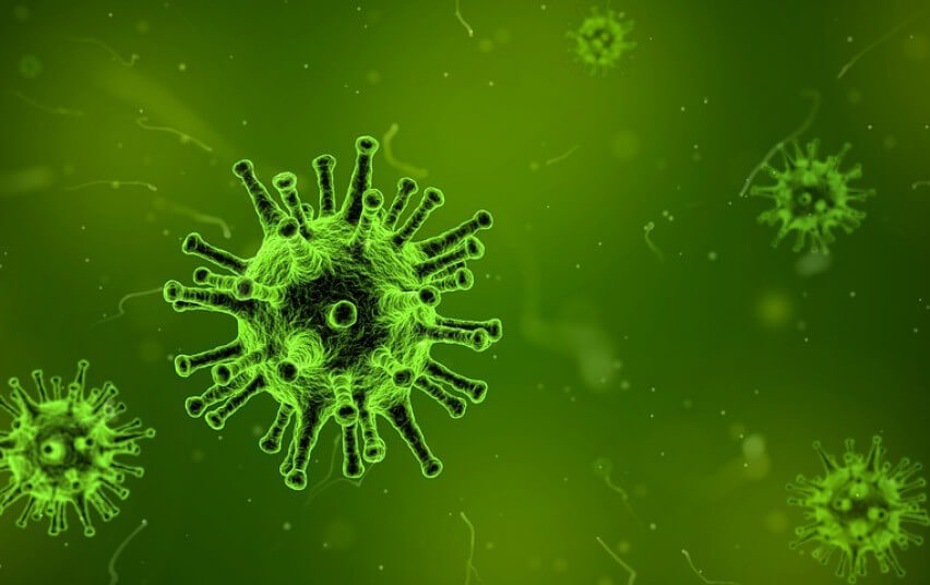 Šeimos gydytoja įspėja: baimintis reikia ne tik koronaviruso
